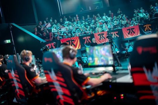 特别借展的 特别借展的