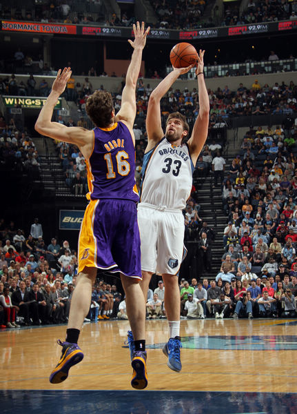 据西方媒体 据西方媒体