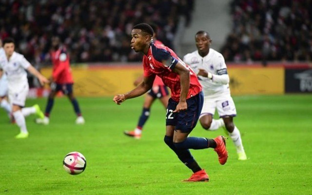 在这个充满 在这个充满