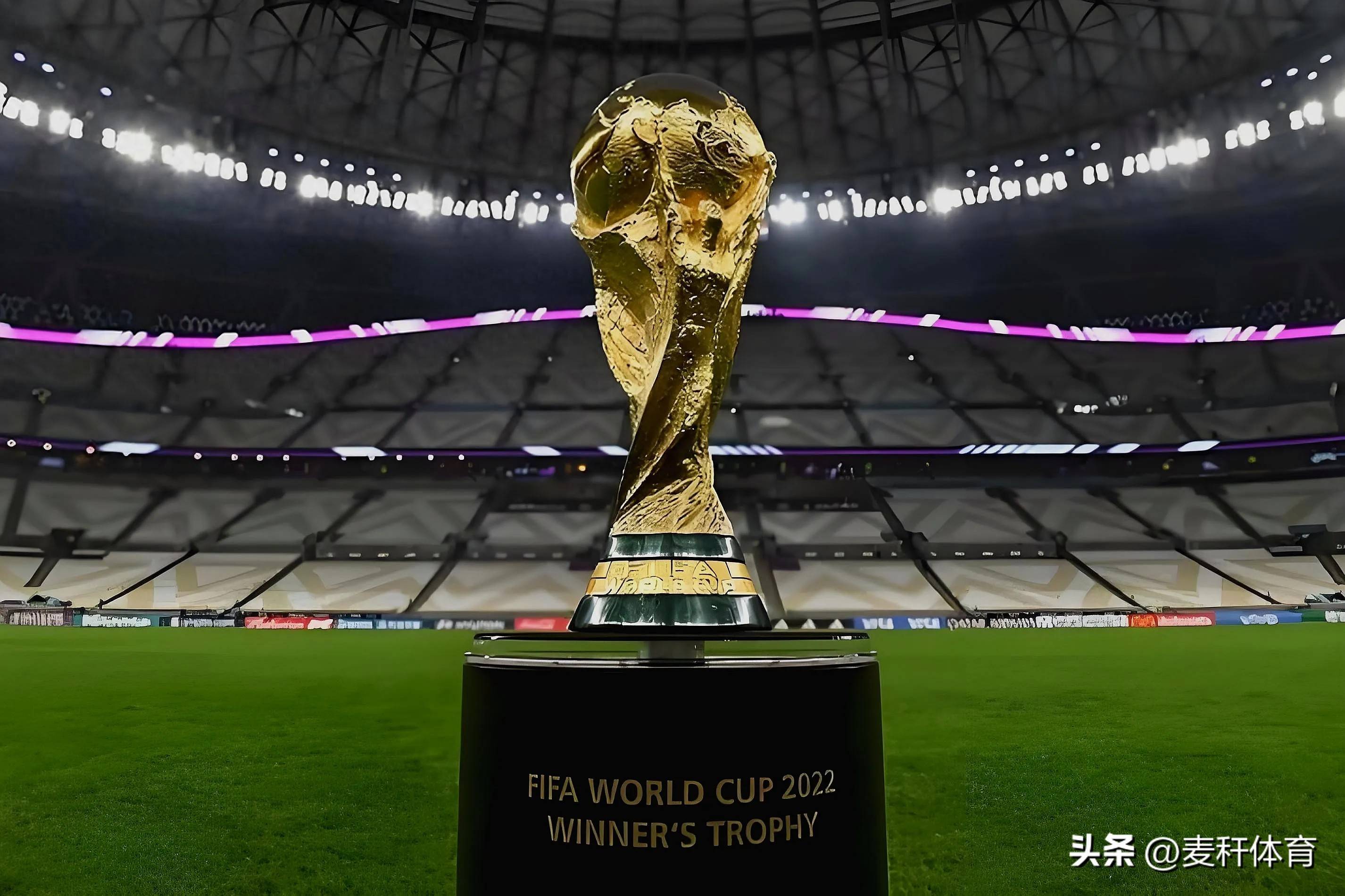 保利尼奥 保利尼奥