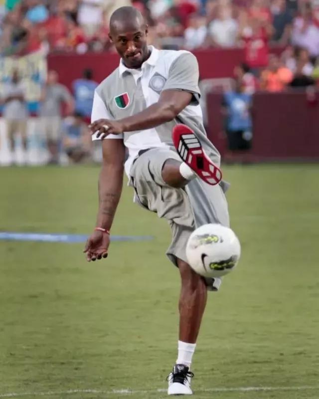 持续性评估 持续性评估