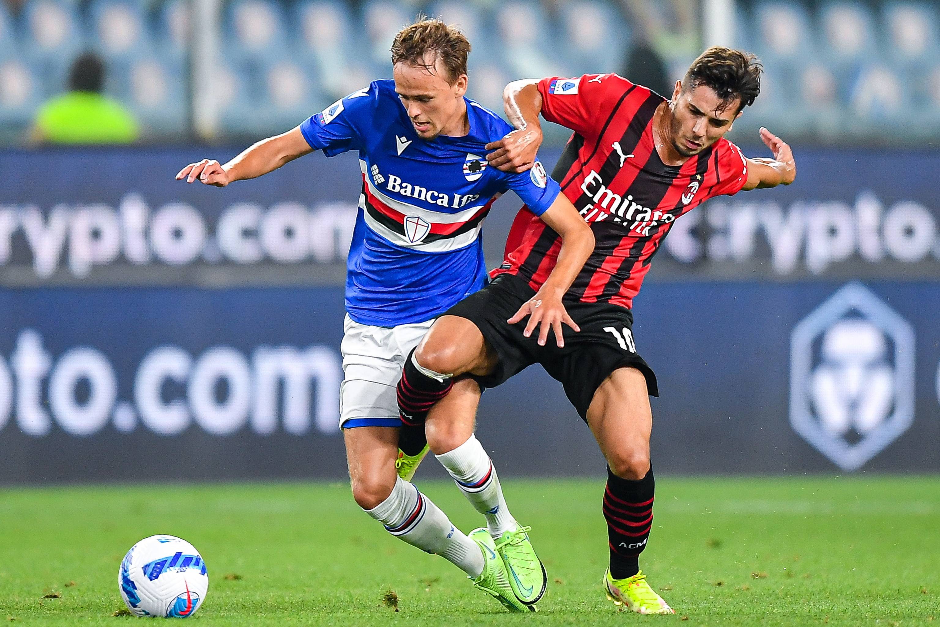 多拍稳定 多拍稳定